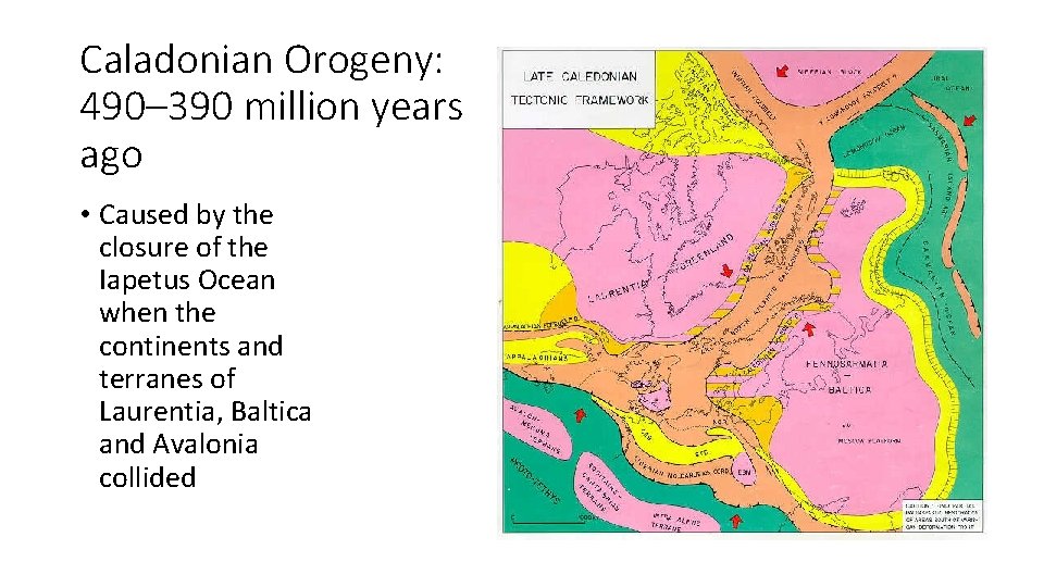 Caladonian Orogeny: 490– 390 million years ago • Caused by the closure of the