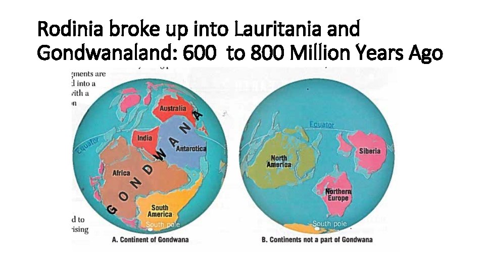 Rodinia broke up into Lauritania and Gondwanaland: 600 to 800 Million Years Ago 