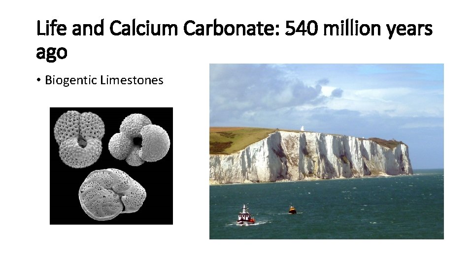 Life and Calcium Carbonate: 540 million years ago • Biogentic Limestones 