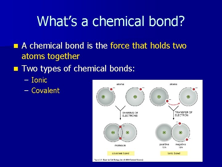 What’s a chemical bond? A chemical bond is the force that holds two atoms