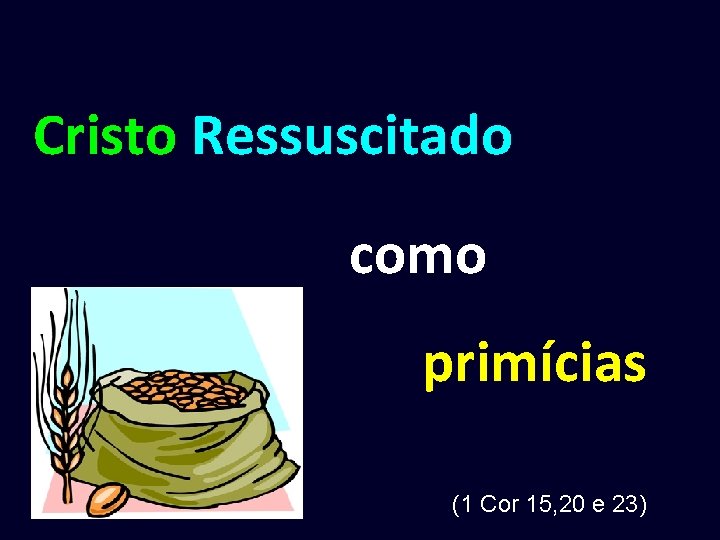 Cristo Ressuscitado como primícias (1 Cor 15, 20 e 23) 