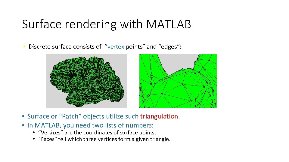 Surface rendering with MATLAB • Discrete surface consists of “vertex points” and “edges”: • Surface rendering with MATLAB • Discrete surface consists of “vertex points” and “edges”: •