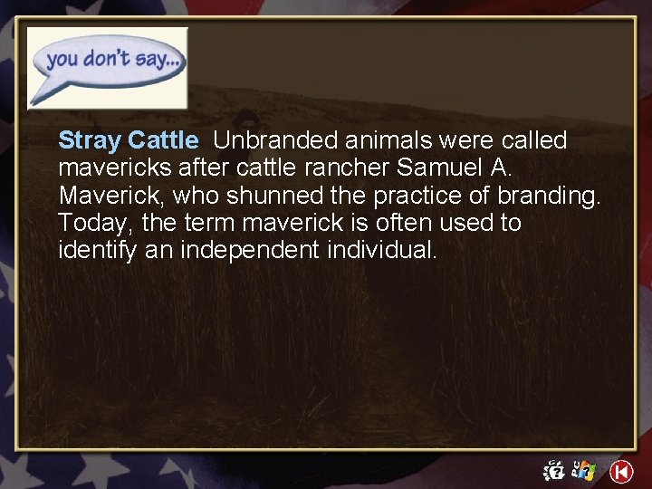 Stray Cattle Unbranded animals were called mavericks after cattle rancher Samuel A. Maverick, who