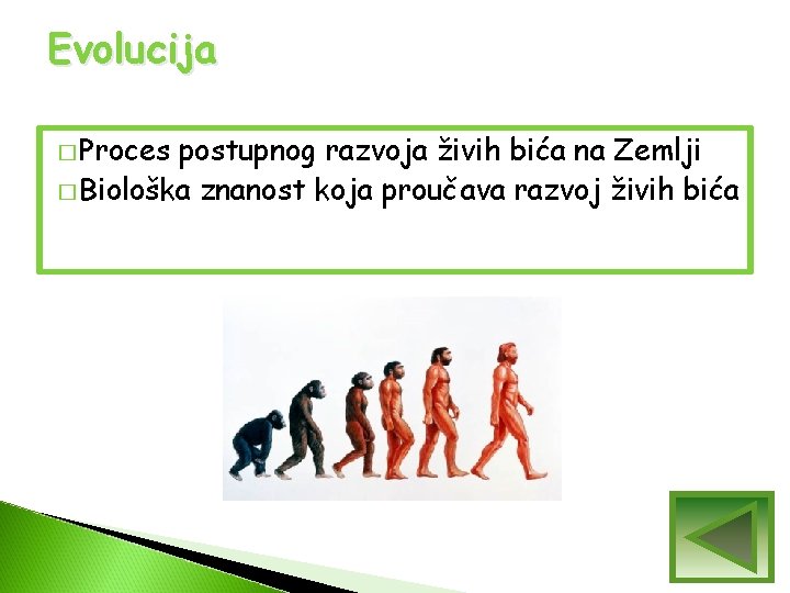 Evolucija � Proces postupnog razvoja živih bića na Zemlji � Biološka znanost koja proučava Evolucija � Proces postupnog razvoja živih bića na Zemlji � Biološka znanost koja proučava