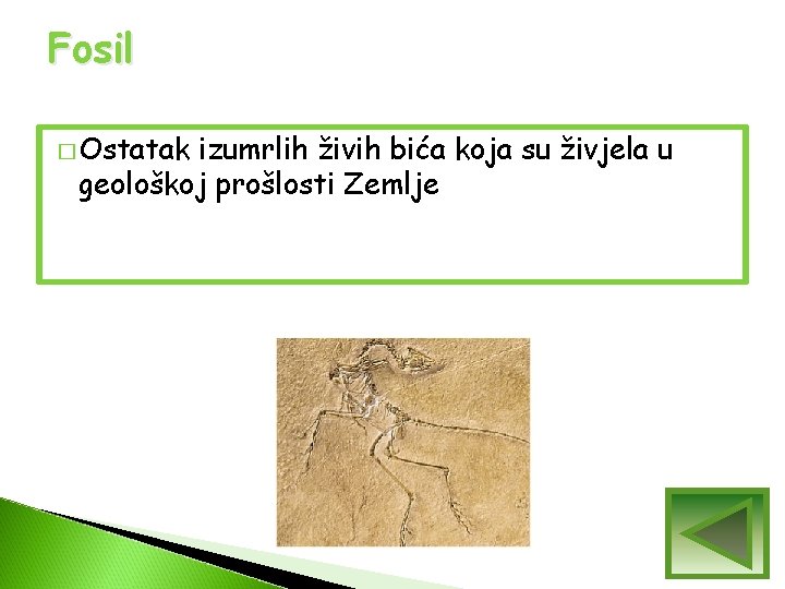 Fosil � Ostatak izumrlih živih bića koja su živjela u geološkoj prošlosti Zemlje Fosil � Ostatak izumrlih živih bića koja su živjela u geološkoj prošlosti Zemlje