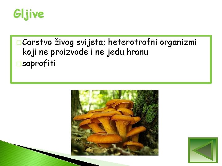 Gljive � Carstvo živog svijeta; heterotrofni organizmi koji ne proizvode i ne jedu hranu Gljive � Carstvo živog svijeta; heterotrofni organizmi koji ne proizvode i ne jedu hranu