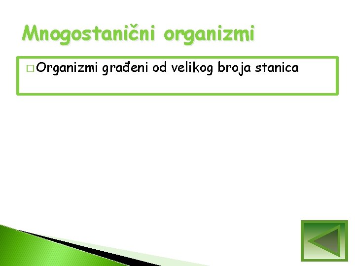 Mnogostanični organizmi � Organizmi građeni od velikog broja stanica Mnogostanični organizmi � Organizmi građeni od velikog broja stanica
