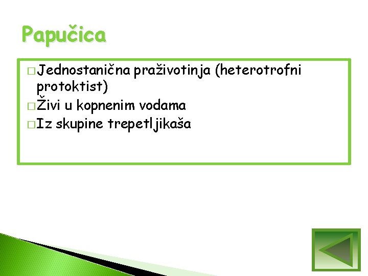 Papučica � Jednostanična praživotinja (heterotrofni protoktist) � Živi u kopnenim vodama � Iz skupine Papučica � Jednostanična praživotinja (heterotrofni protoktist) � Živi u kopnenim vodama � Iz skupine