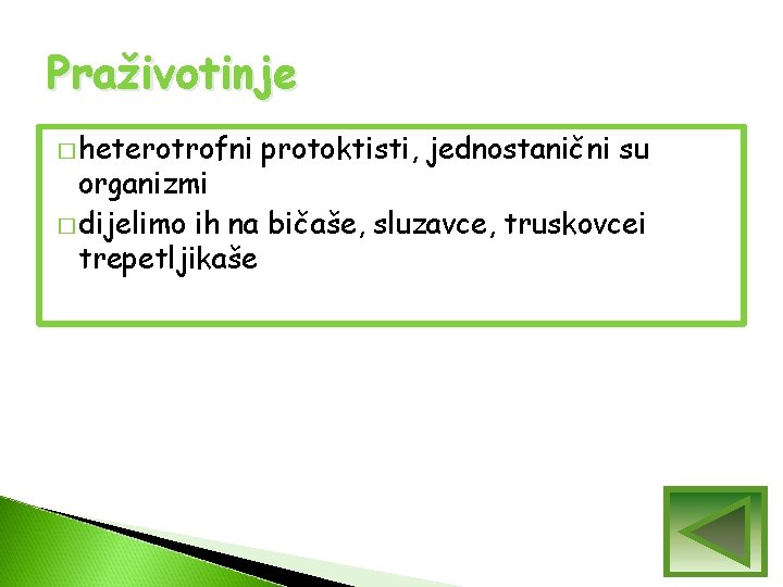 Praživotinje � heterotrofni protoktisti, jednostanični su organizmi � dijelimo ih na bičaše, sluzavce, truskovcei Praživotinje � heterotrofni protoktisti, jednostanični su organizmi � dijelimo ih na bičaše, sluzavce, truskovcei