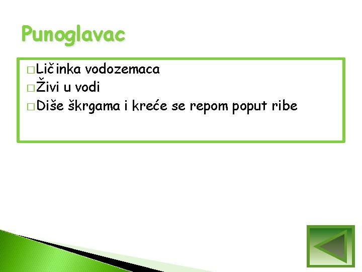 Punoglavac � Ličinka vodozemaca � Živi u vodi � Diše škrgama i kreće se Punoglavac � Ličinka vodozemaca � Živi u vodi � Diše škrgama i kreće se