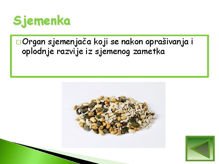 Sjemenka � Organ sjemenjača koji se nakon oprašivanja i oplodnje razvije iz sjemenog zametka Sjemenka � Organ sjemenjača koji se nakon oprašivanja i oplodnje razvije iz sjemenog zametka