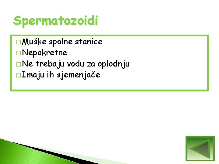 Spermatozoidi � Muške spolne stanice � Nepokretne � Ne trebaju vodu za oplodnju � Spermatozoidi � Muške spolne stanice � Nepokretne � Ne trebaju vodu za oplodnju �