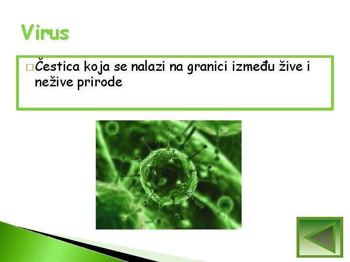 Virus � Čestica koja se nalazi na granici između žive i nežive prirode Virus � Čestica koja se nalazi na granici između žive i nežive prirode