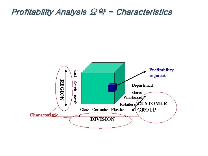 Profitability Analysis 요약 - Characteristics east South north REGION Characteristic Profitability segment Department stores