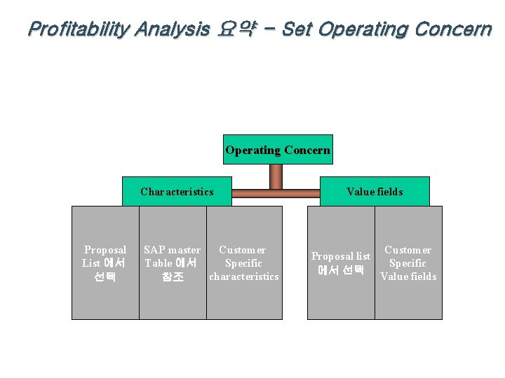 Profitability Analysis 요약 - Set Operating Concern Characteristics Proposal List 에서 선택 SAP master