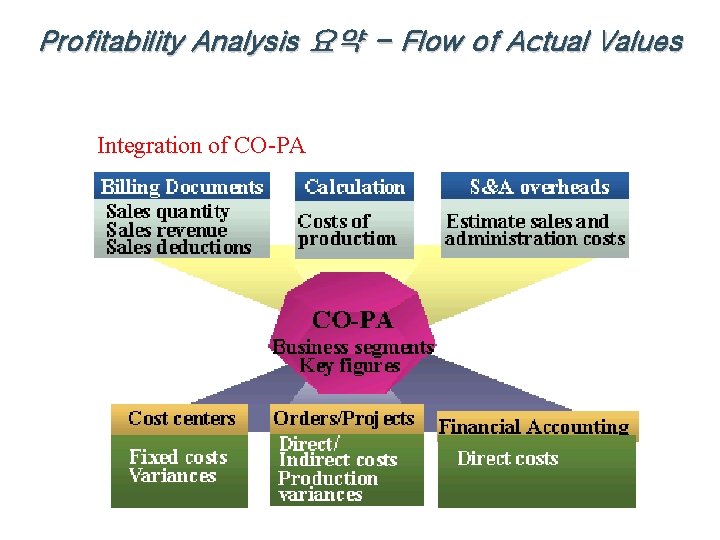 Profitability Analysis 요약 - Flow of Actual Values Integration of CO-PA 