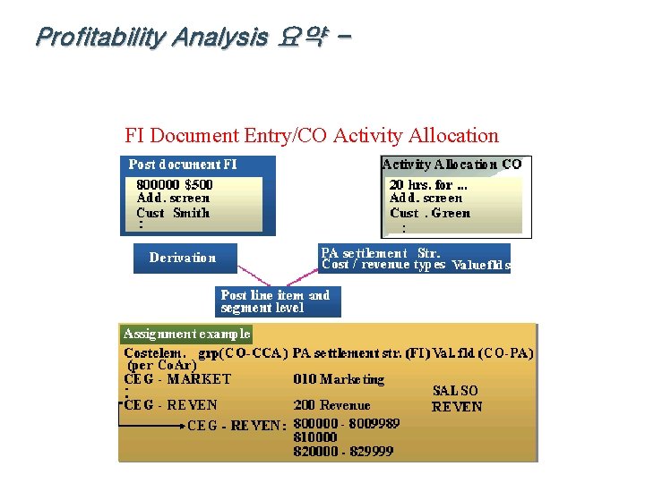 Profitability Analysis 요약 - FI Document Entry/CO Activity Allocation 