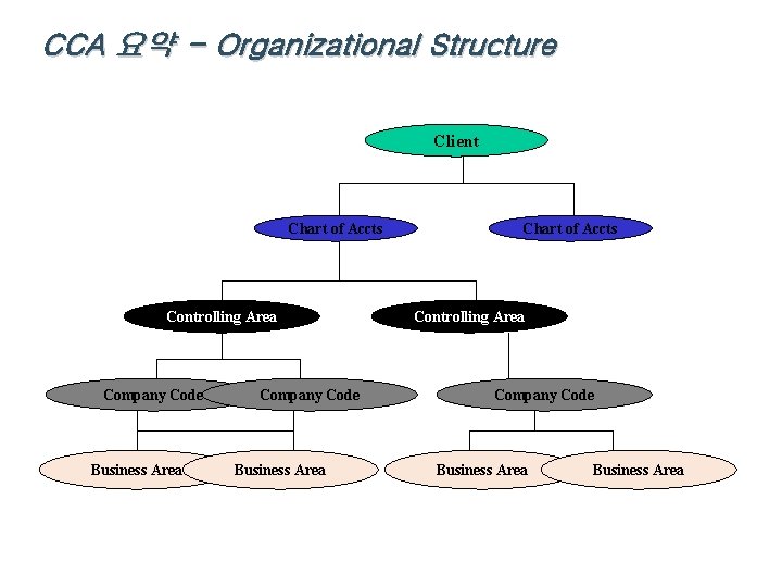 CCA 요약 - Organizational Structure Client Chart of Accts Controlling Area Company Code Business