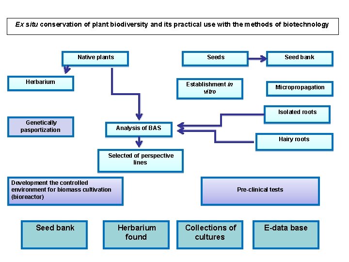 Ex situ conservation of plant biodiversity and its practical use with the methods of