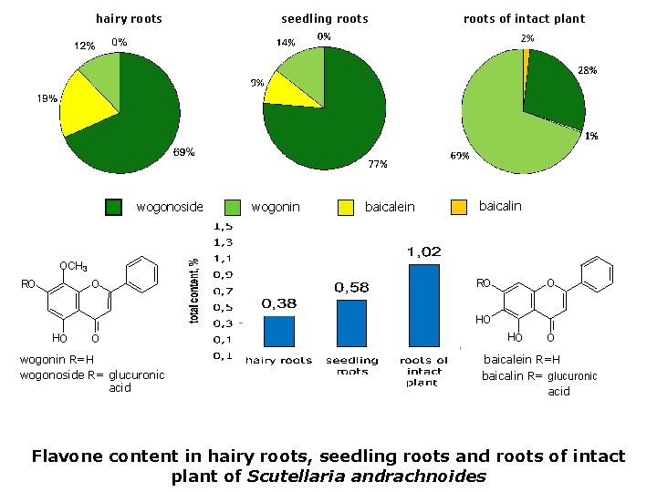 hairy roots wogonoside seedling roots wogonin baicalein roots of intact plant baicalin OCH 3