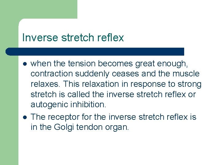Inverse stretch reflex l l when the tension becomes great enough, contraction suddenly ceases Inverse stretch reflex l l when the tension becomes great enough, contraction suddenly ceases