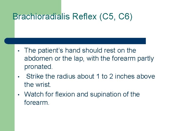 Brachioradialis Reflex (C 5, C 6) • • • The patient’s hand should rest Brachioradialis Reflex (C 5, C 6) • • • The patient’s hand should rest