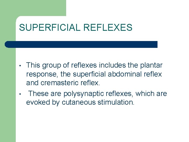 SUPERFICIAL REFLEXES • • This group of reflexes includes the plantar response, the superficial SUPERFICIAL REFLEXES • • This group of reflexes includes the plantar response, the superficial