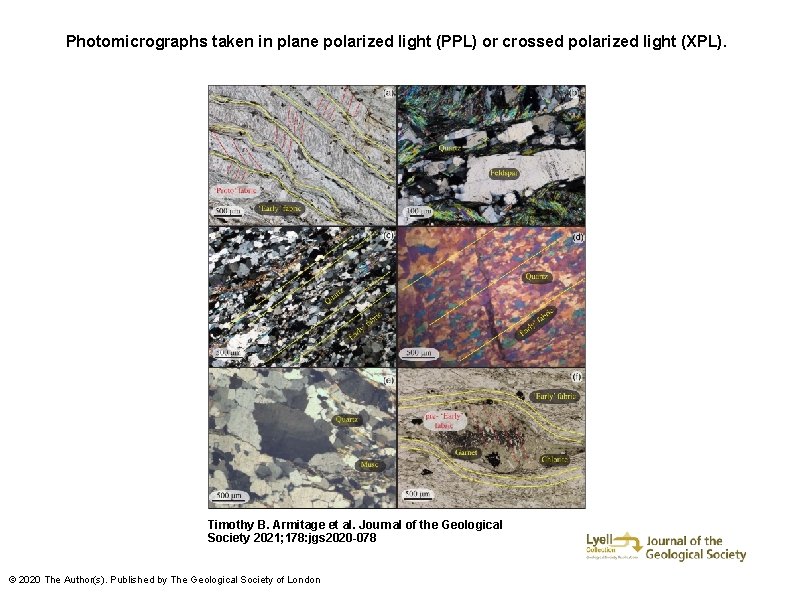 Photomicrographs taken in plane polarized light (PPL) or crossed polarized light (XPL). Timothy B.