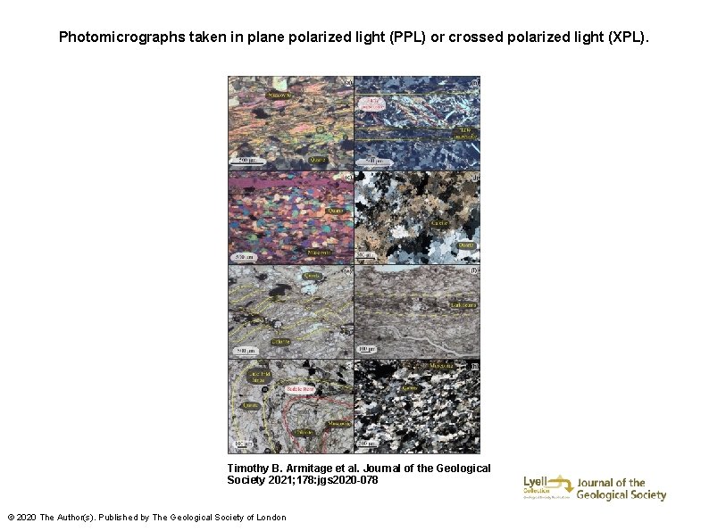 Photomicrographs taken in plane polarized light (PPL) or crossed polarized light (XPL). Timothy B.