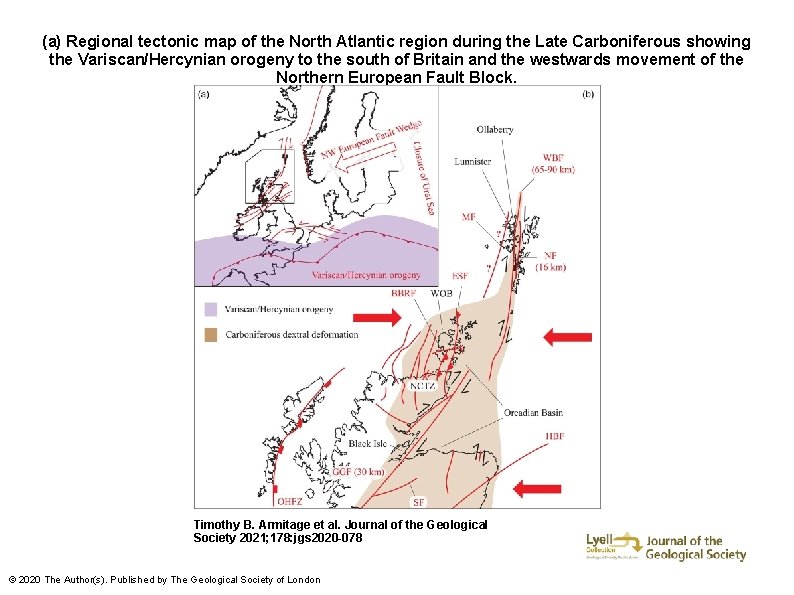 (a) Regional tectonic map of the North Atlantic region during the Late Carboniferous showing