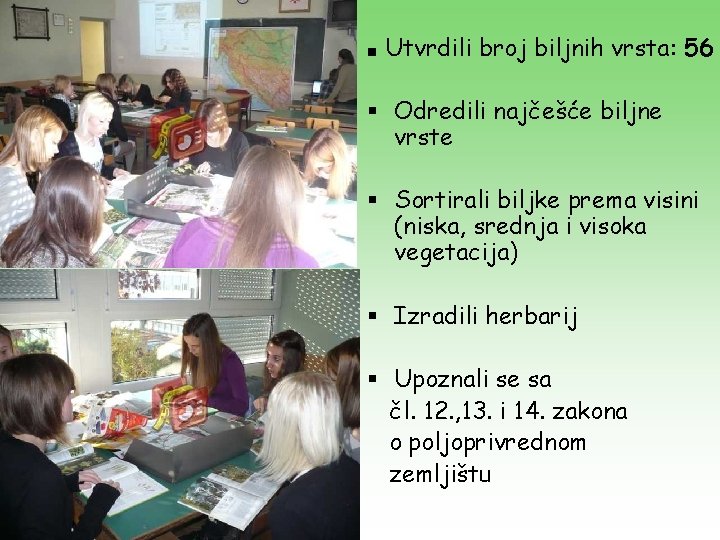 ■ Utvrdili broj biljnih vrsta: 56 § Odredili najčešće biljne vrste § Sortirali biljke ■ Utvrdili broj biljnih vrsta: 56 § Odredili najčešće biljne vrste § Sortirali biljke