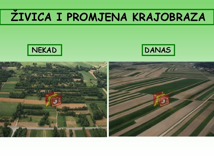 ŽIVICA I PROMJENA KRAJOBRAZA NEKAD DANAS 