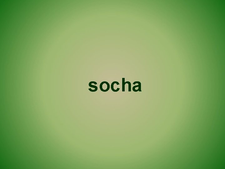 socha 