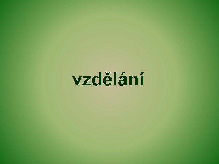 vzdělání 