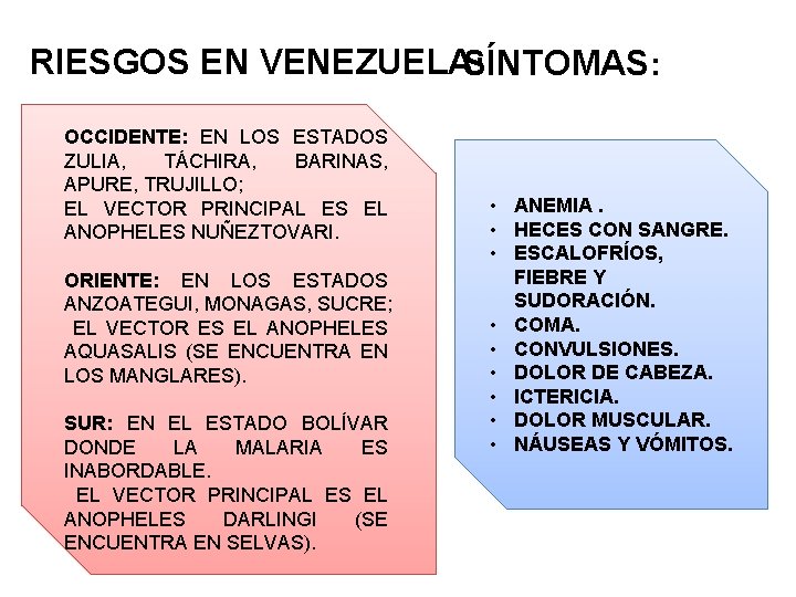 RIESGOS EN VENEZUELASÍNTOMAS : : OCCIDENTE: EN LOS ESTADOS ZULIA, TÁCHIRA, BARINAS, APURE, TRUJILLO;