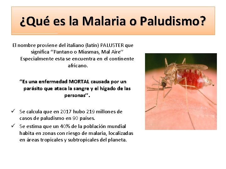 ¿Qué es la Malaria o Paludismo? El nombre proviene del italiano (latín) PALUSTER que