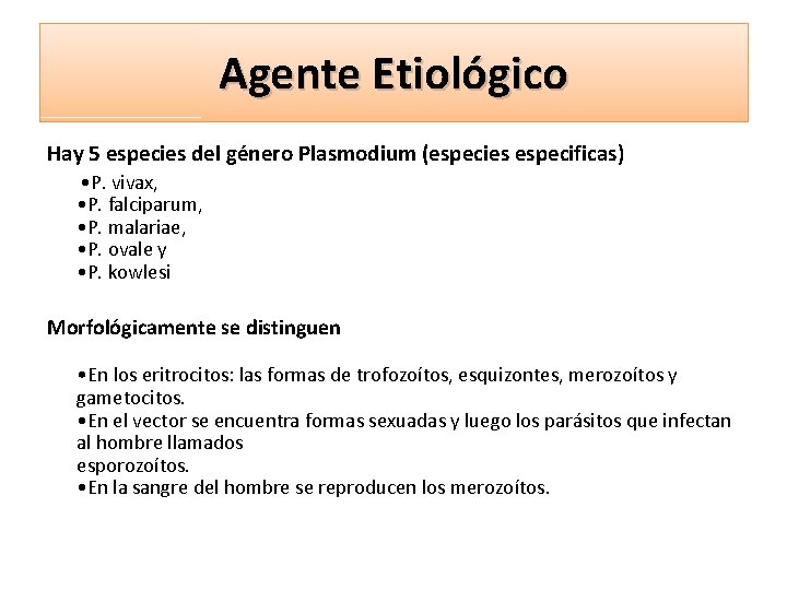 Agente Etiológico Hay 5 especies del género Plasmodium (especies especificas) • P. vivax, •
