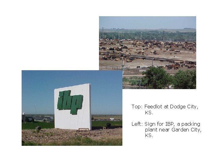 Top: Feedlot at Dodge City, KS. Left: Sign for IBP, a packing plant near