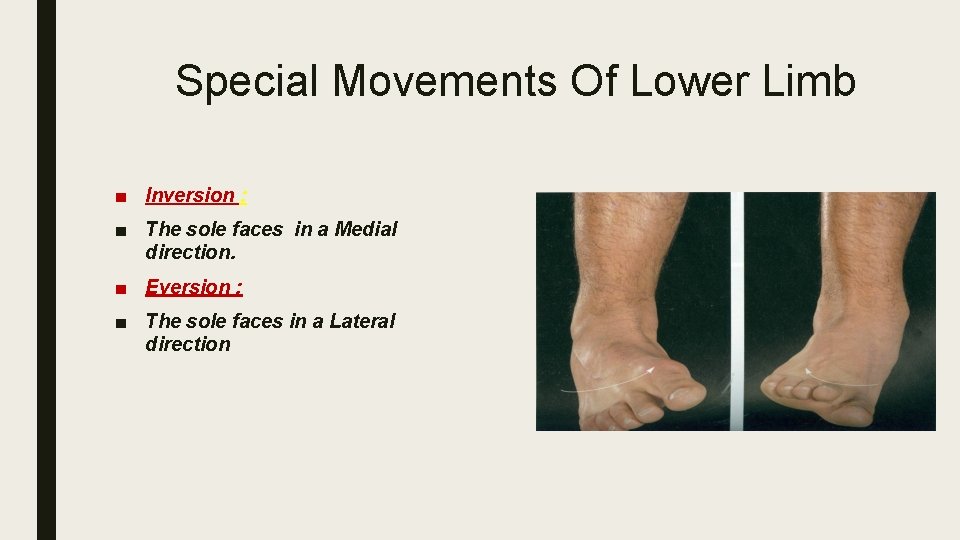 Special Movements Of Lower Limb ■ Inversion : ■ The sole faces in a