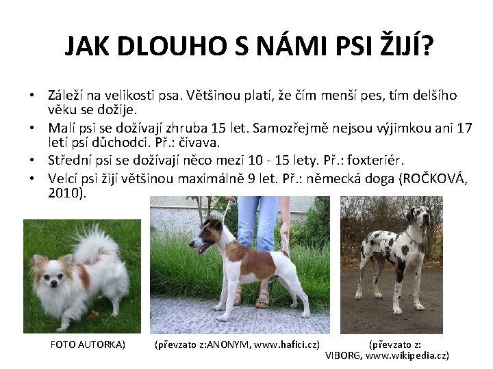  JAK DLOUHO S NÁMI PSI ŽIJÍ? • Záleží na velikosti psa. Většinou platí,