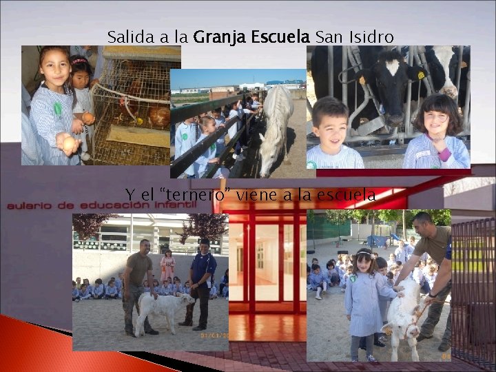 Salida a la Granja Escuela San Isidro Y el “ternero” viene a la escuela