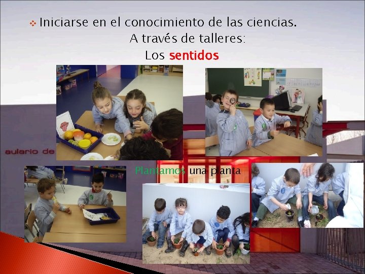 v Iniciarse en el conocimiento de las ciencias. A través de talleres: Los sentidos