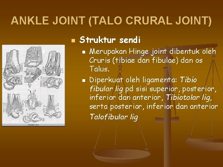 ANKLE JOINT (TALO CRURAL JOINT) n Struktur sendi n n Merupakan Hinge joint dibentuk