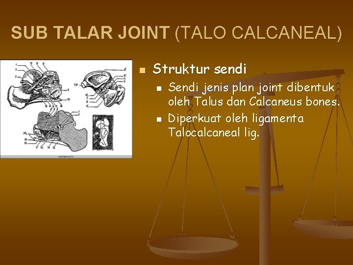 SUB TALAR JOINT (TALO CALCANEAL) n Struktur sendi n n Sendi jenis plan joint