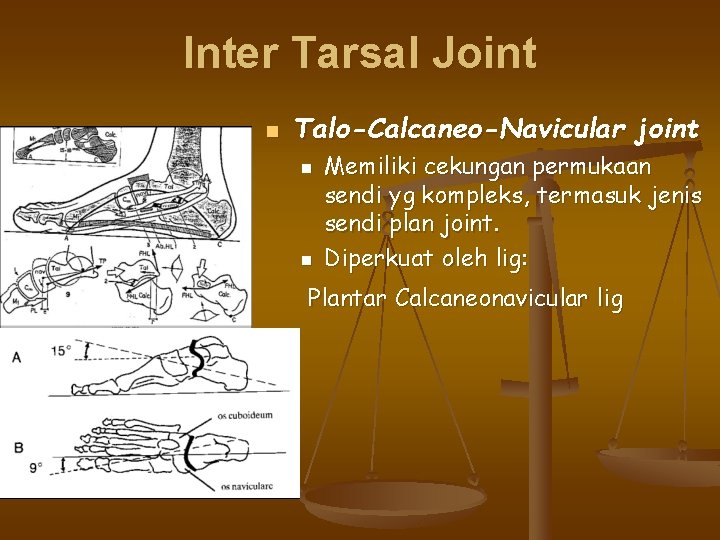 Inter Tarsal Joint n Talo-Calcaneo-Navicular joint n n Memiliki cekungan permukaan sendi yg kompleks,