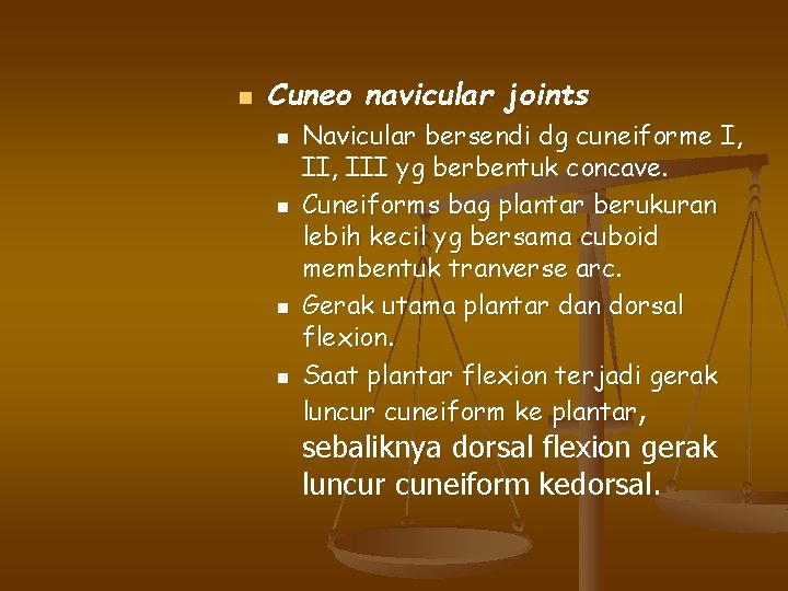 n Cuneo navicular joints n n Navicular bersendi dg cuneiforme I, III yg berbentuk