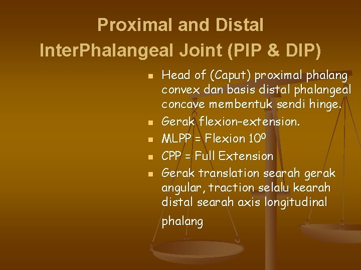 Proximal and Distal Inter. Phalangeal Joint (PIP & DIP) n n n Head of