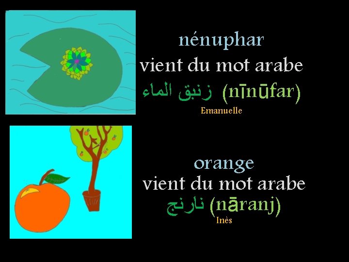 nénuphar vient du mot arabe ( ﺯﻧﺒﻖ ﺍﻟﻤﺎﺀ nīnūfar) Emanuelle orange vient du mot