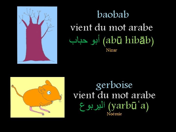 baobab vient du mot arabe ( ﺃﺒﻮ ﺣﺒﺎﺏ abū hibāb) Nizar gerboise vient du