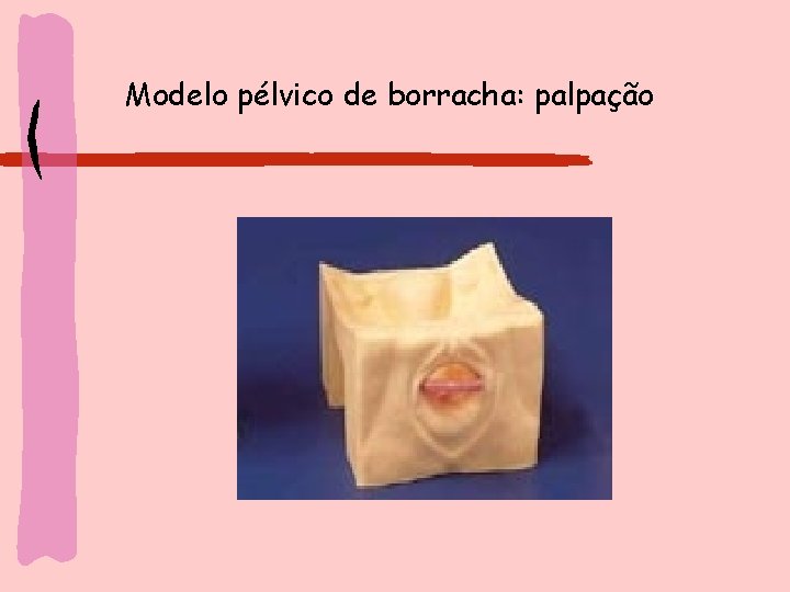 Modelo pélvico de borracha: palpação 